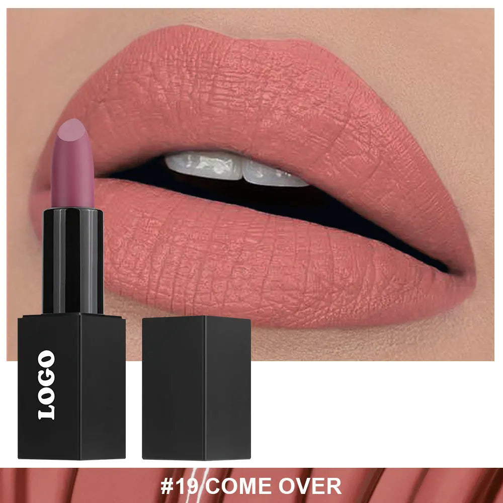 Cosmetic Private Label Fashionable Lady Makeup Creamy Matte Lipstick