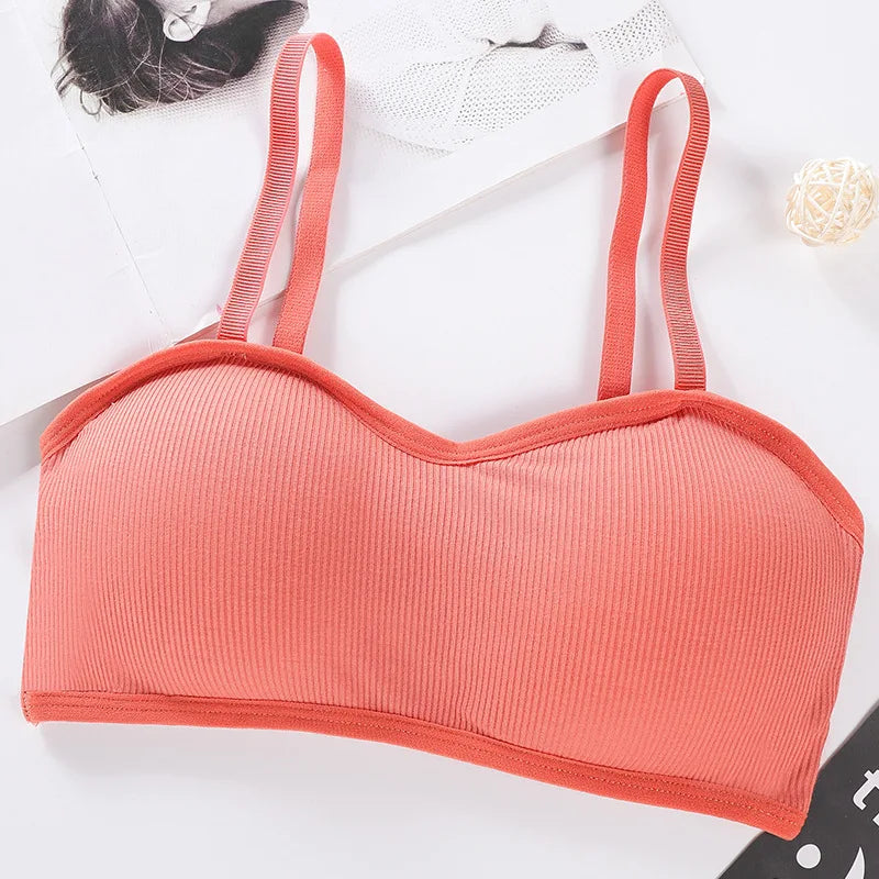 Strapless Tube Tops Women Crop Top Seamless Underwear Back Closure Sexy Lingerie Female Wrap Bra Chest Padded Bandeau Top