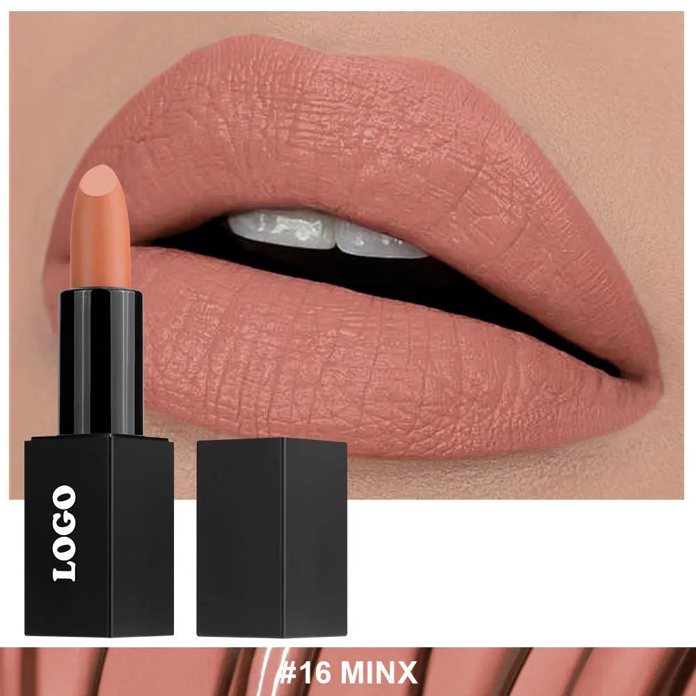 Cosmetic Private Label Fashionable Lady Makeup Creamy Matte Lipstick