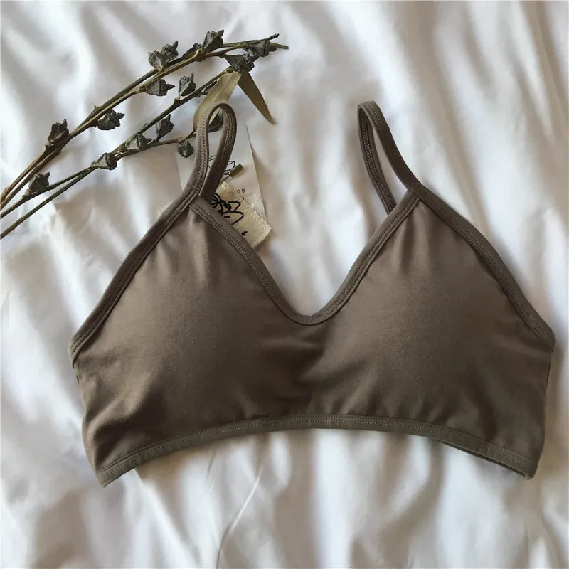 Women Non-wire Bra Cotton Brassiere Sexy Lingerie Female Push Up Bra Comfort Tube Top Underwear Small Cup Removable Pads
