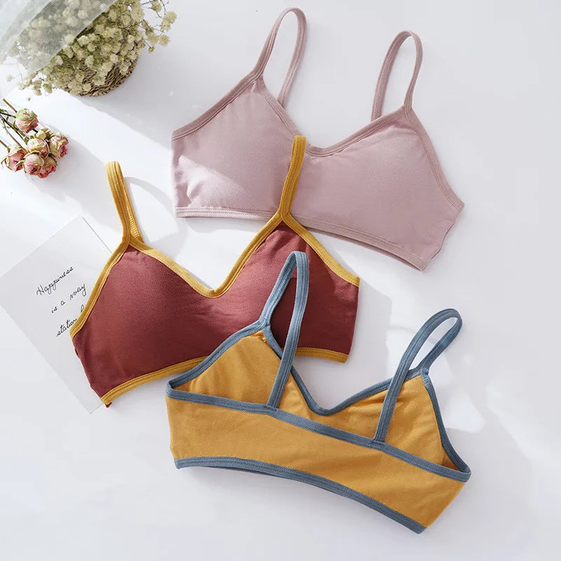 Women Non-wire Bra Cotton Brassiere Sexy Lingerie Female Push Up Bra Comfort Tube Top Underwear Small Cup Removable Pads