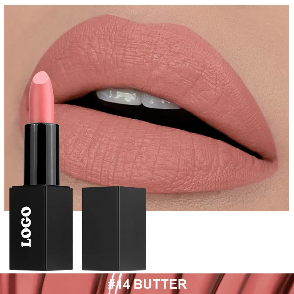 Cosmetic Private Label Fashionable Lady Makeup Creamy Matte Lipstick
