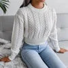shiny Short Pullover Jumper Women Autumn and Winter New Round Neck Solid Color Knitted Sweater