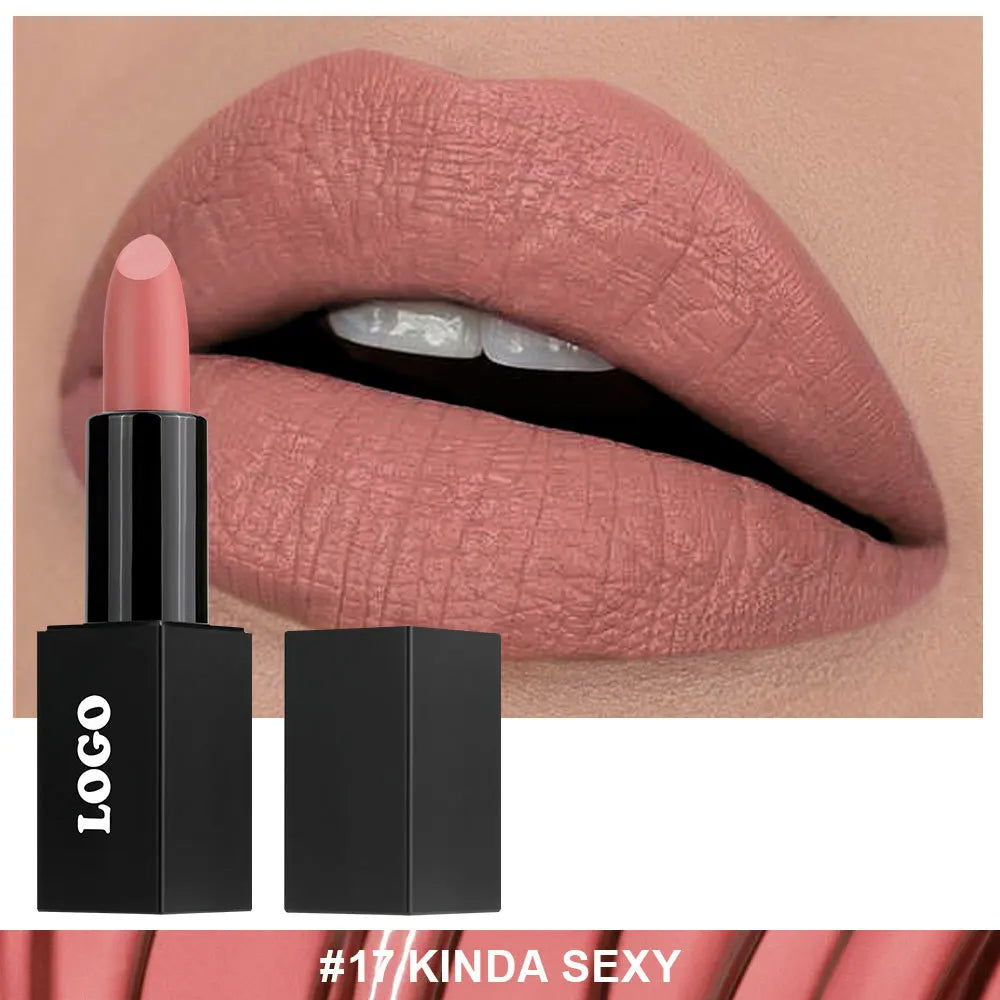 Cosmetic Private Label Fashionable Lady Makeup Creamy Matte Lipstick