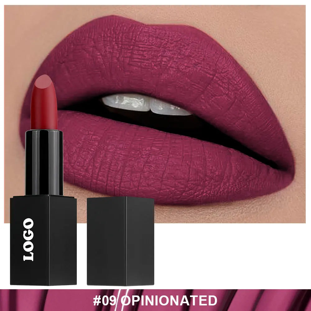 Cosmetic Private Label Fashionable Lady Makeup Creamy Matte Lipstick