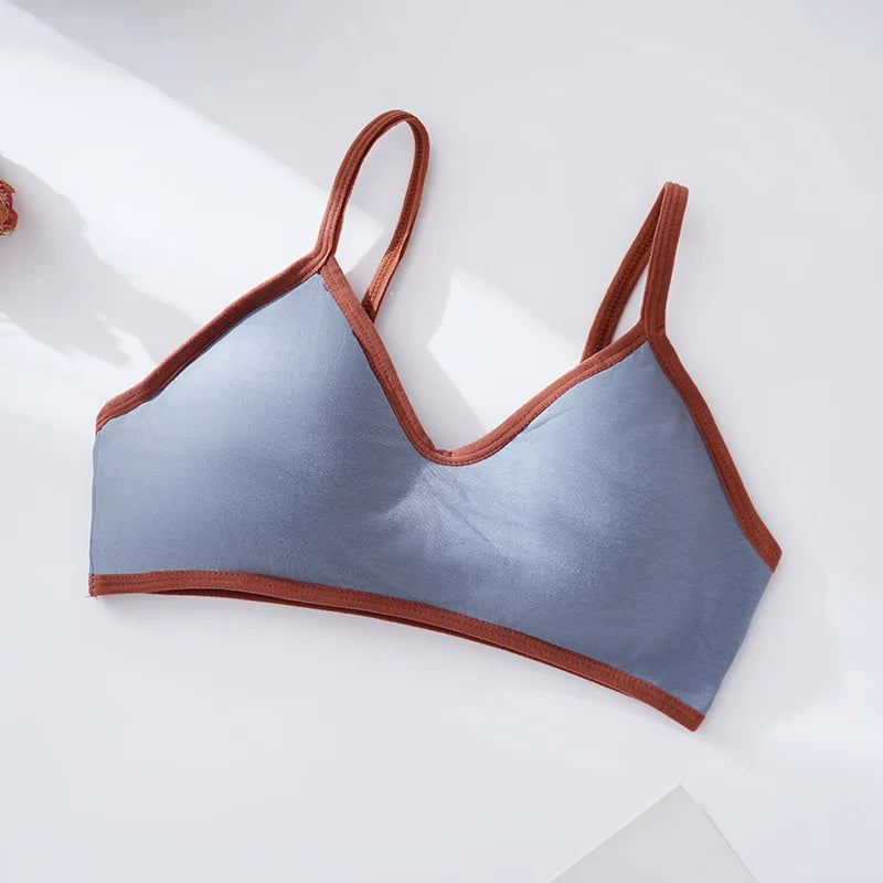 Women Non-wire Bra Cotton Brassiere Sexy Lingerie Female Push Up Bra Comfort Tube Top Underwear Small Cup Removable Pads