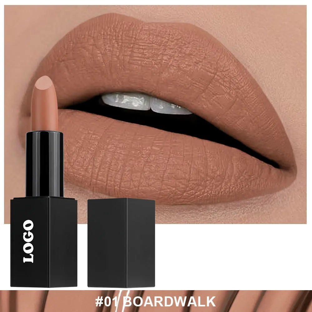 Cosmetic Private Label Fashionable Lady Makeup Creamy Matte Lipstick