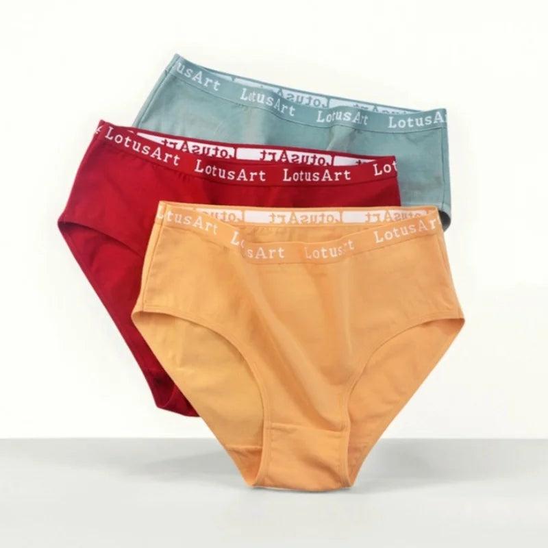 4Pcs/Set Cotton Letter Belt Panties Women's Underwear Sexy Low Waist Briefs Female Stretch Comfortable Breathable Lingerie