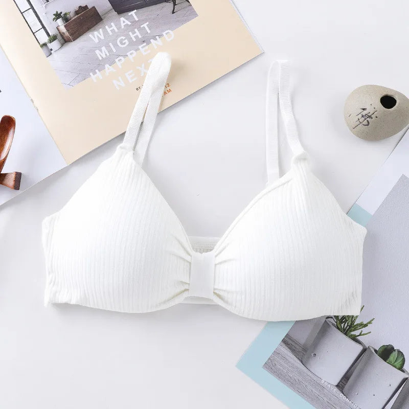 Wire Free Bras For Women Push Up  Sexy Lingerie Comfort Bra Tops Female Brassiere Seamless Underwear Solid Intimates