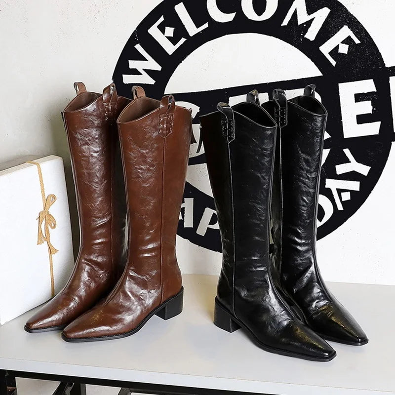 Vintage Women Western Knight Long Booties Fashion Pointed Toe Shoes Autumn Winter Thick Heel Ladies Knee High Boots