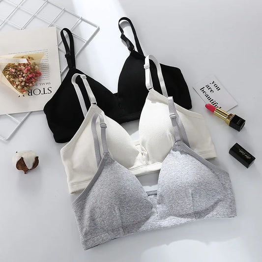 Seamless Bras For Women Push Up Bra Tops Non-Wire Brassiere Sexy Lingerie Comfort Bra V Neck Solid Color Underwear