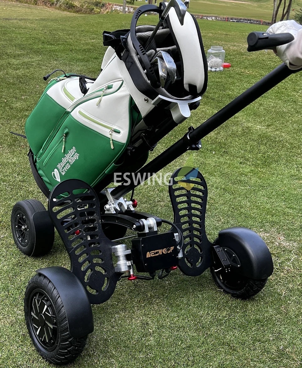Eswing High Quality Mini Folding Golf Electric Trolley Foldable Push Cart Lightweight  Golf scooter For Sale