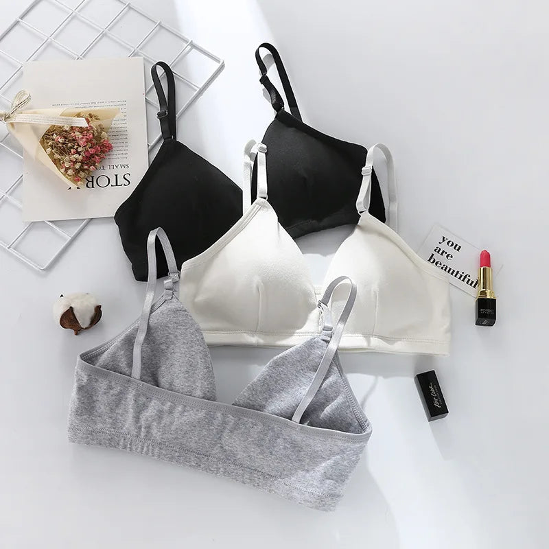 Seamless Bras For Women Push Up Bra Tops Non-Wire Brassiere Sexy Lingerie Comfort Bra V Neck Solid Color Underwear