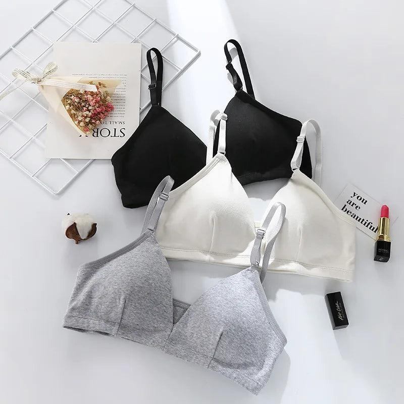 Seamless Bras For Women Push Up Bra Tops Non-Wire Brassiere Sexy Lingerie Comfort Bra V Neck Solid Color Underwear