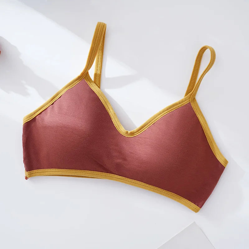 Women Non-wire Bra Cotton Brassiere Sexy Lingerie Female Push Up Bra Comfort Tube Top Underwear Small Cup Removable Pads