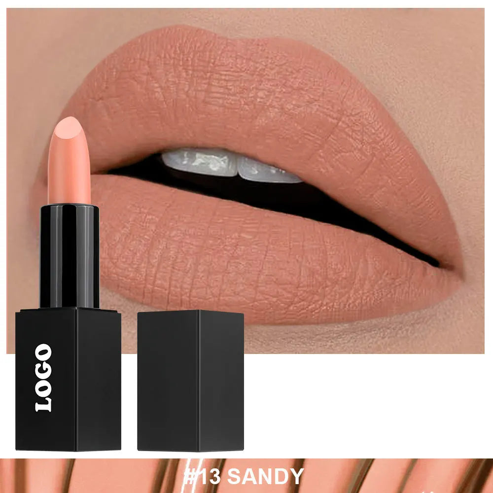 Cosmetic Private Label Fashionable Lady Makeup Creamy Matte Lipstick