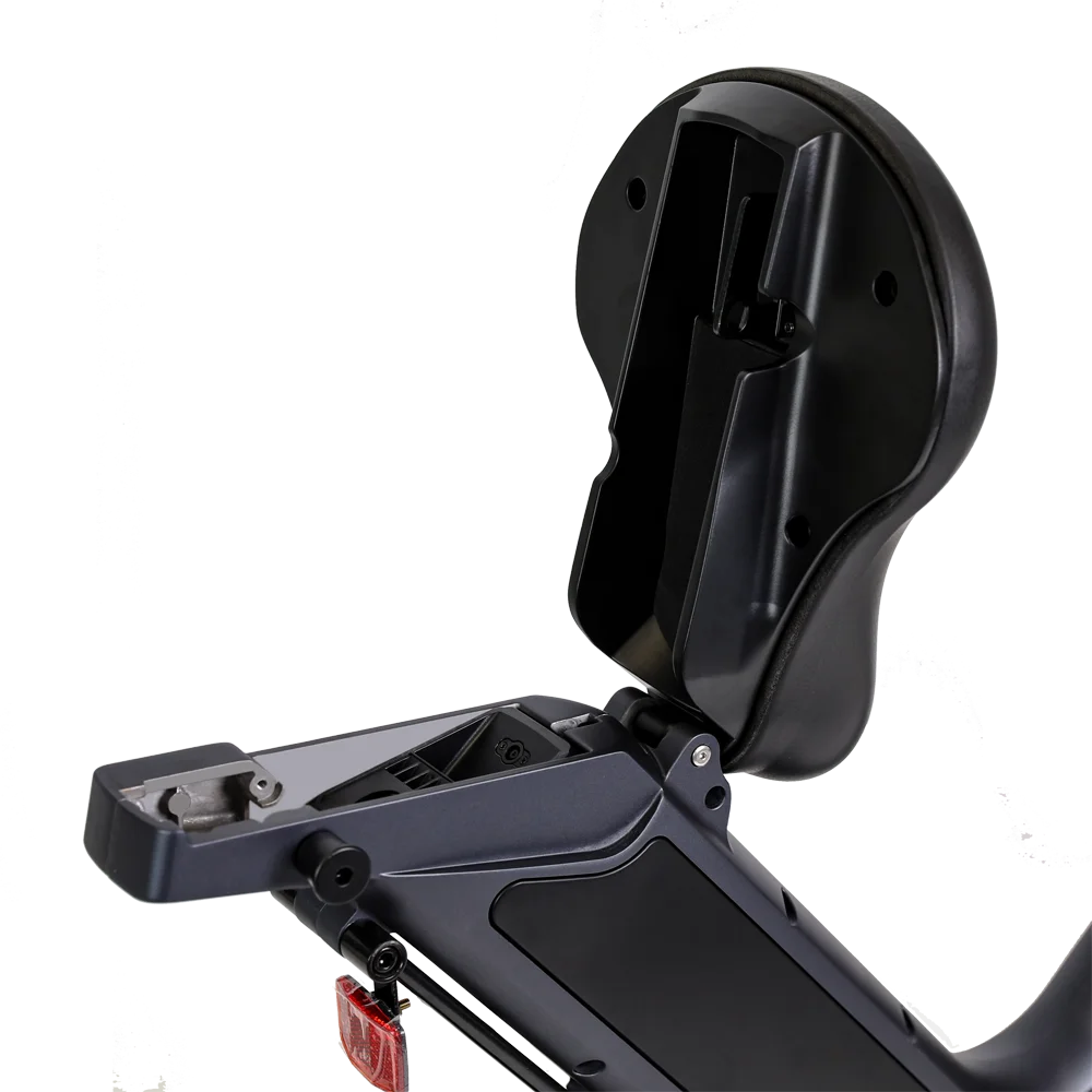 D50 500W 48V10.4ah Adult Trotinette Electrique Pure Electric Bicycle Moped Scooters