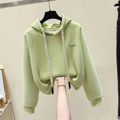 2025 Oversized Hoodie Women Winter Thickened High Quality Hoodies Women Loose Pullover Embroidery Woman Hoodies