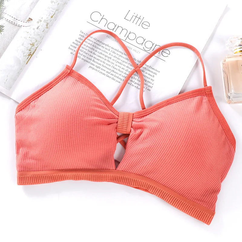 Strapless Tube Tops Women Crop Top Seamless Underwear Back Closure Sexy Lingerie Female Wrap Bra Chest Padded Bandeau Top