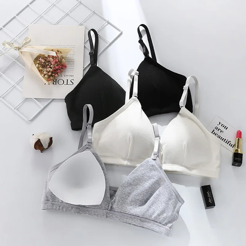 Seamless Bras For Women Push Up Bra Tops Non-Wire Brassiere Sexy Lingerie Comfort Bra V Neck Solid Color Underwear