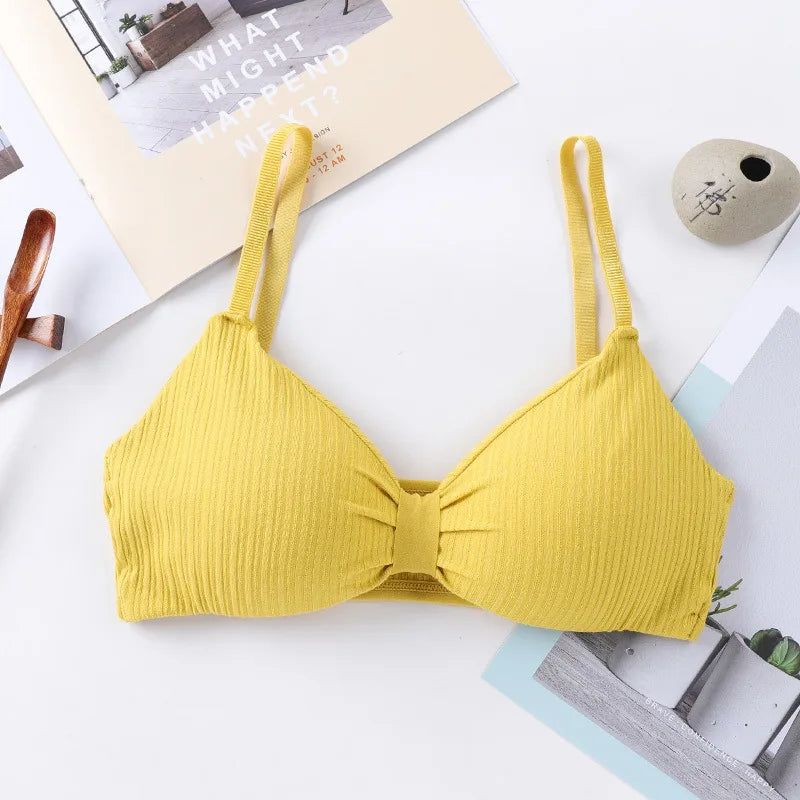 Wire Free Bras For Women Push Up  Sexy Lingerie Comfort Bra Tops Female Brassiere Seamless Underwear Solid Intimates