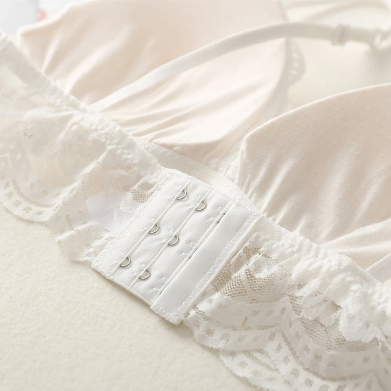 Lace Transparent Bra Women Non-wire Bralette Small Cup Push Up Bras Sexy Backless Lingerie French Underwear Padded Brassiere